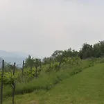 De Cep Et De Gres Mutzig