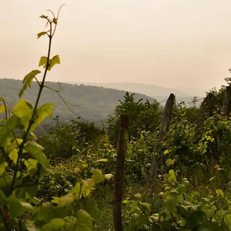 De Cep Et De Gres Apartman *